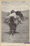 Image ID 807406