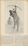 Image ID 807411
