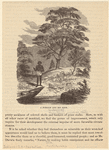 Image ID 807412