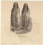 Image ID 807413