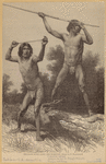 Image ID 807414