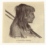 Image ID 807424