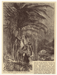 Image ID 807426