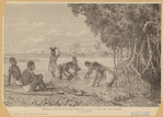 Image ID 807436