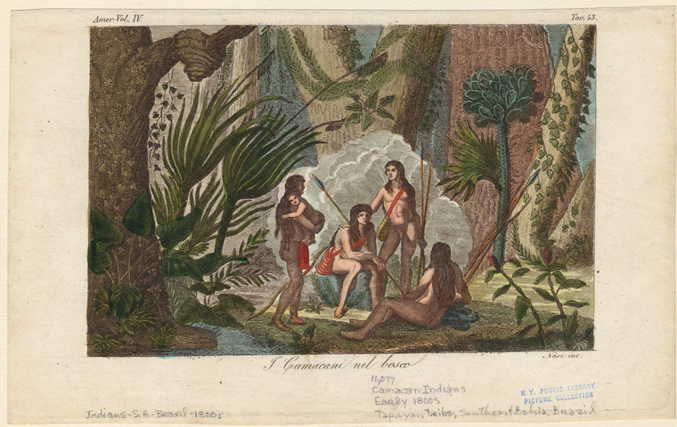 Image ID 807440
