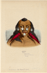 Image ID 807445