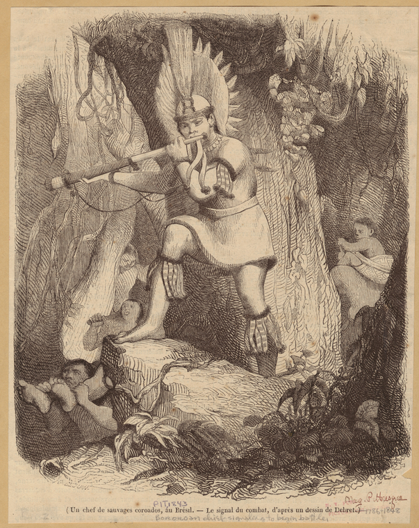 Image ID 807447

