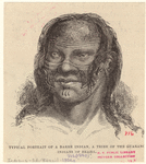 Image ID 807449
