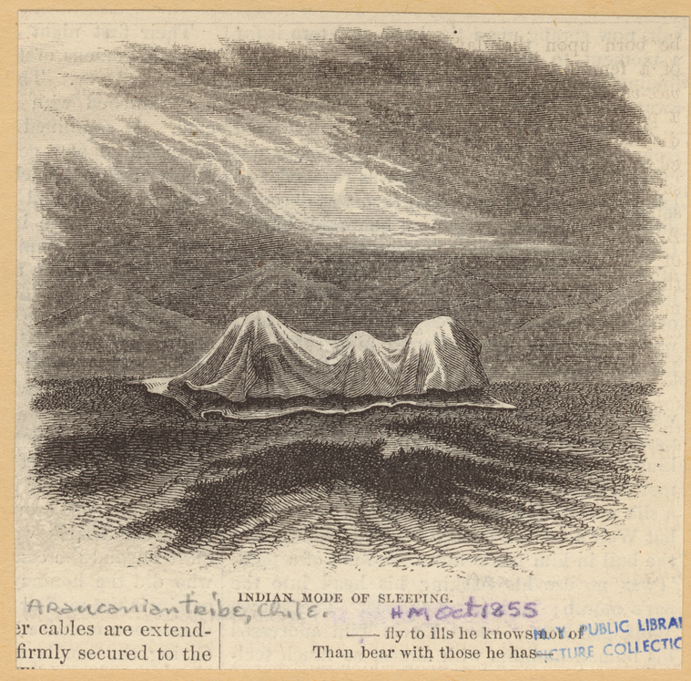 Image ID 807460
