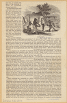 Image ID 807464