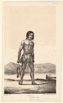 Image ID 807475