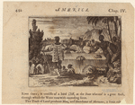 Image ID 807480