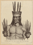 Image ID 807483