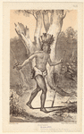 Image ID 807484