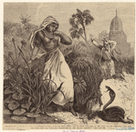 Image ID 807488