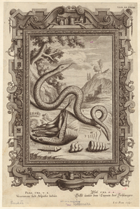Image ID 807494