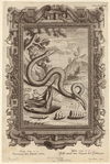 Image ID 807494