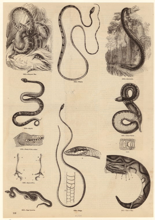 Image ID 807497
