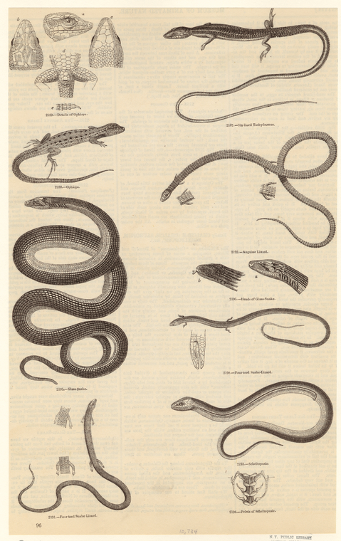 Image ID 807500
