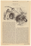 Image ID 807505
