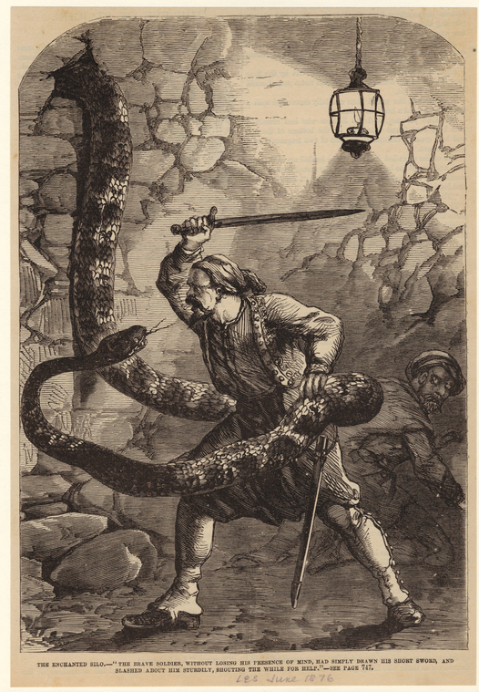 Image ID 807506
