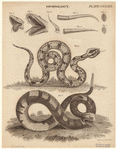 Image ID 807507
