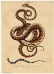 Image ID 807508