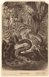 Image ID 807509