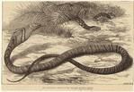 Image ID 807512