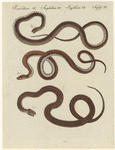 Image ID 807513