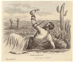 Image ID 807516