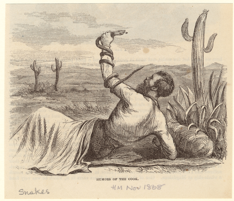 Image ID 807516

