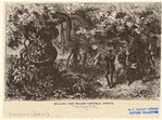 Image ID 807517