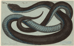 Image ID 807518