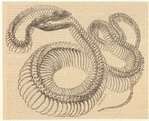 Image ID 807519
