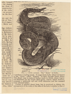 Image ID 807520