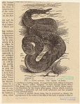 Image ID 807520