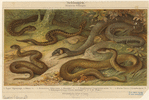 Image ID 807523