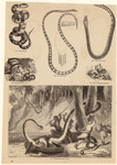 Image ID 807525