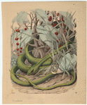 Image ID 807528
