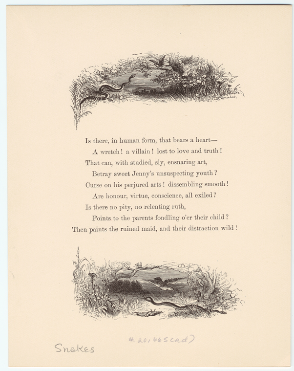 Image ID 807529

