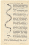 Image ID 807532