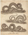 Image ID 807534