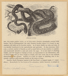 Image ID 807535