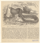 Image ID 807536