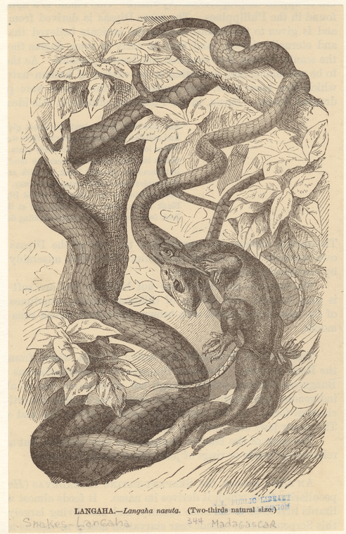 Image ID 807540
