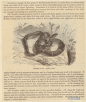 Image ID 807548