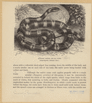 Image ID 807549