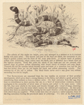 Image ID 807552