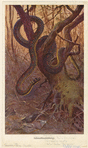 Image ID 807555